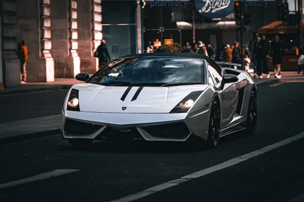 럭키버드 카지노 안드로이드/iOS 앱